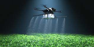 Agricultural field and sustainable farming